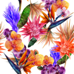 夏日水彩绘画花朵花圈