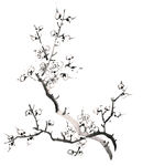 中国风古典水墨梅花