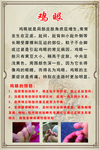 鸡眼海报