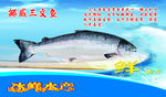 海鲜海报