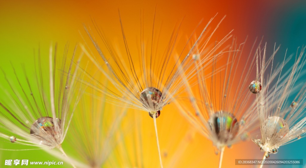 水滴水珠水花