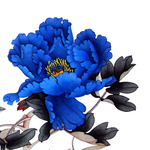牡丹花