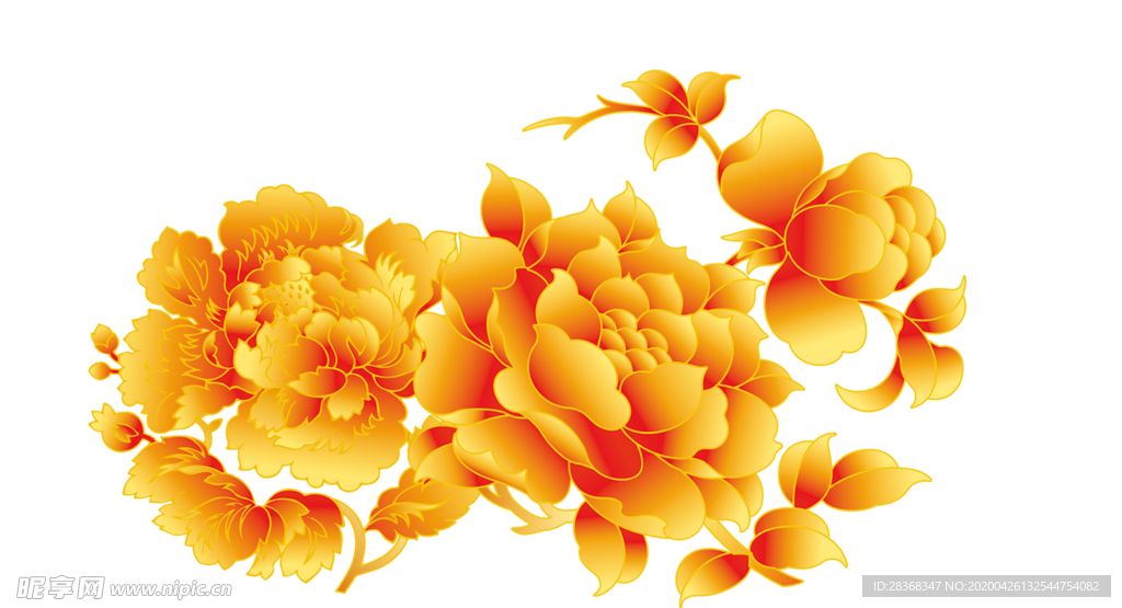 牡丹花