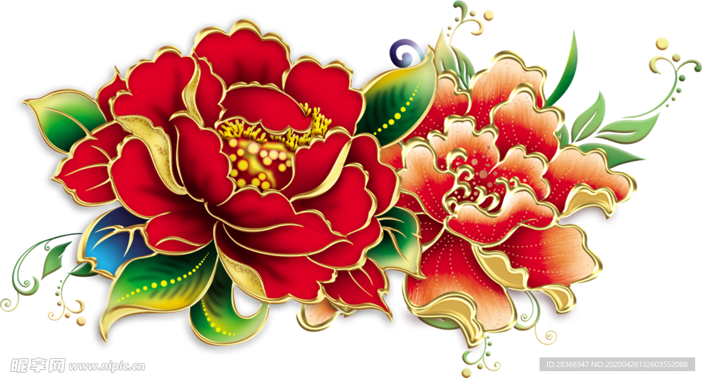 牡丹花