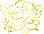 牡丹花