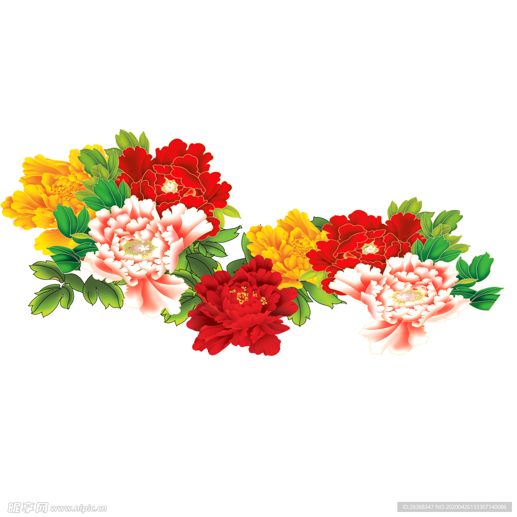 牡丹花