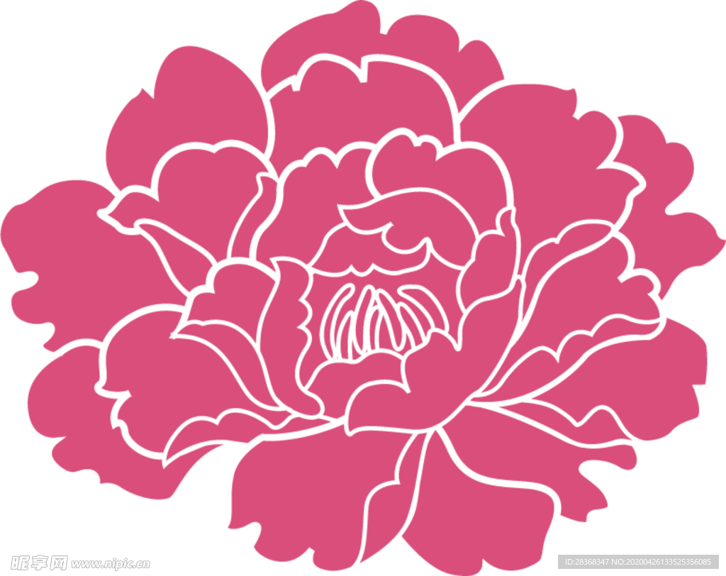 牡丹花