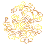牡丹花