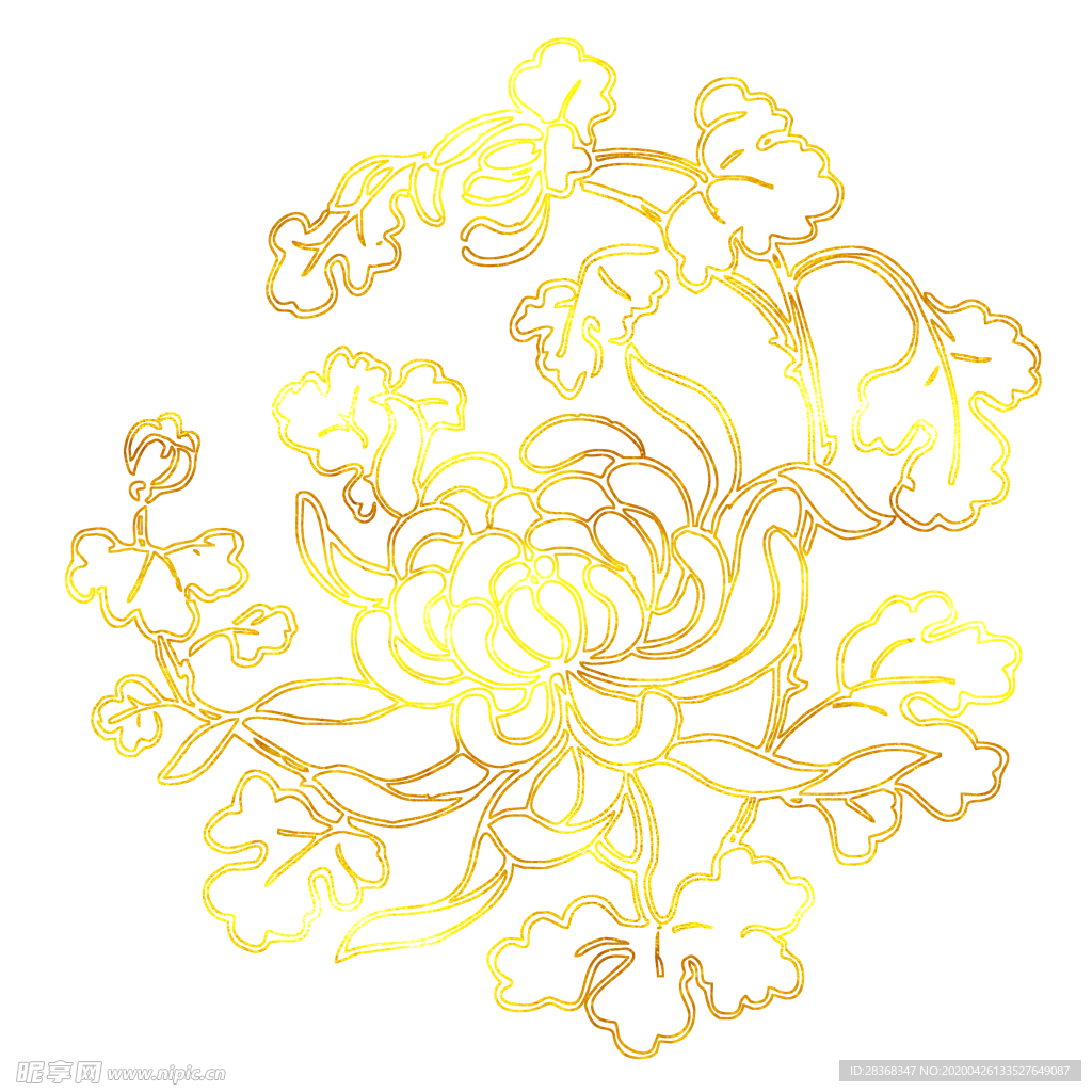牡丹花