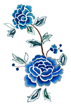 牡丹花