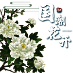 牡丹花