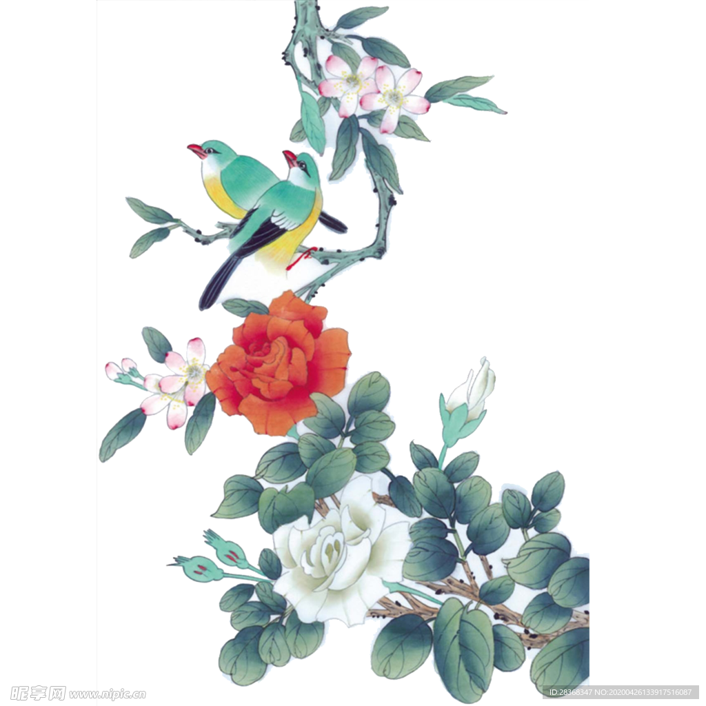 牡丹花