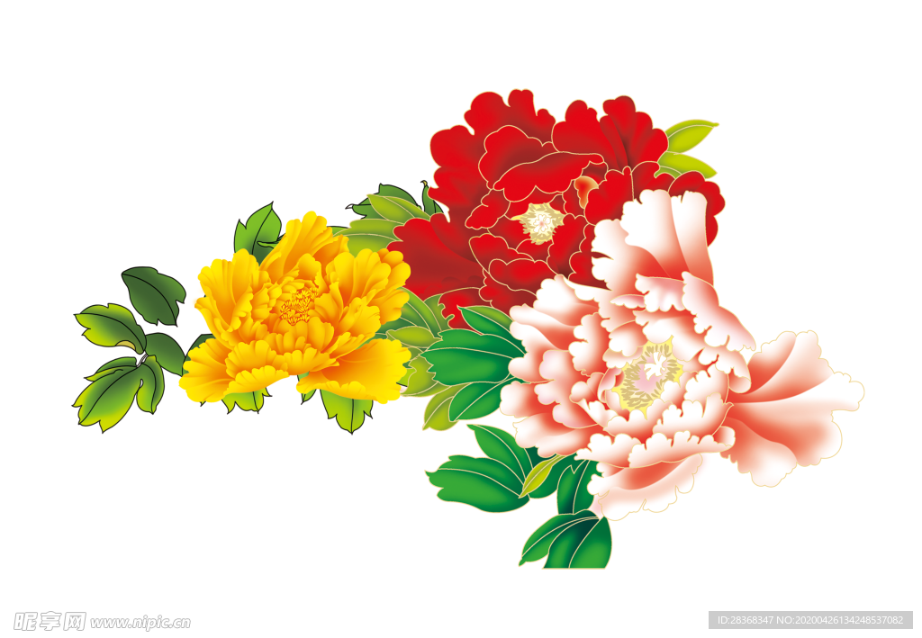 牡丹花