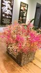 满天星花篮花艺