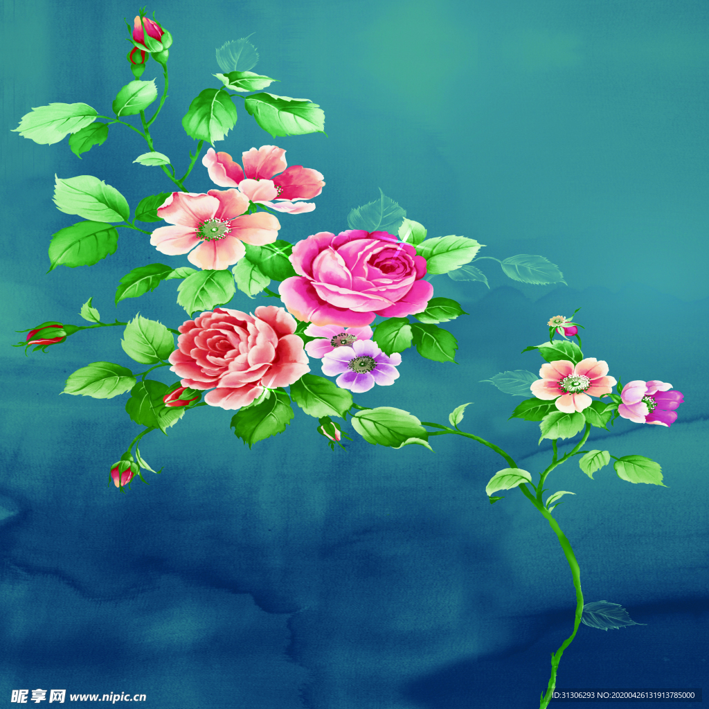 花卉