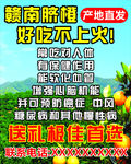 赣南橙海报