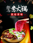 火锅海报