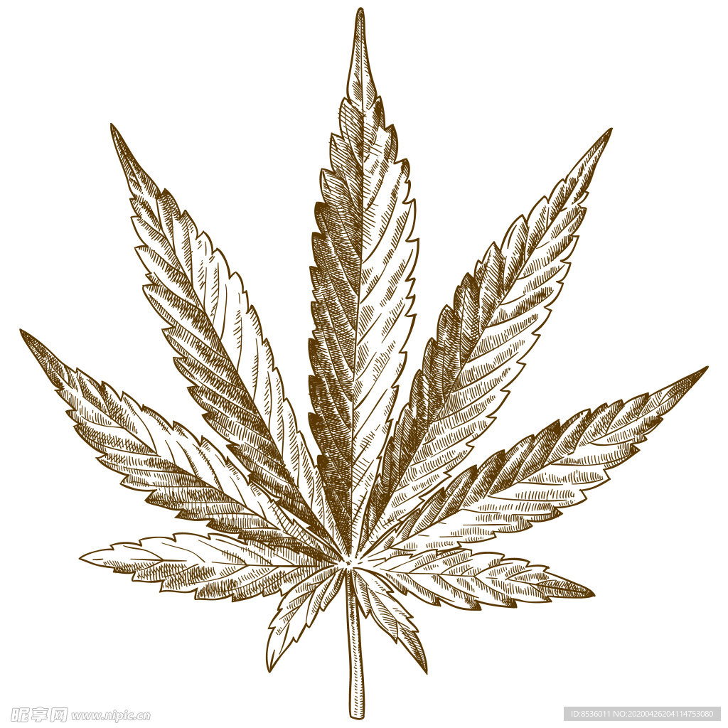 树木剪影