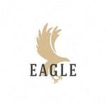 雄鹰LOGO