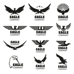 雄鹰LOGO