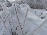 雪景