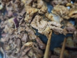 孜然牛肉
