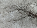 雪景