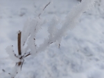 雪