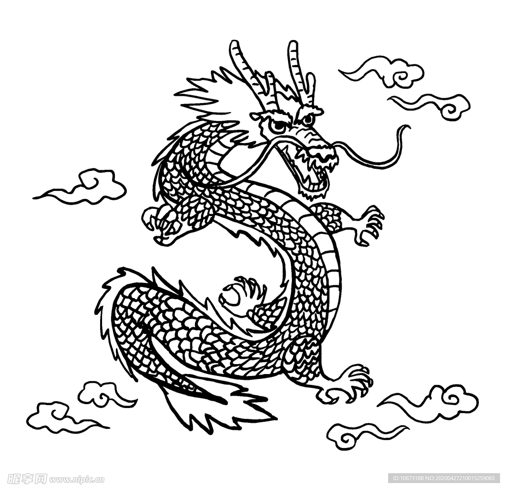 龙