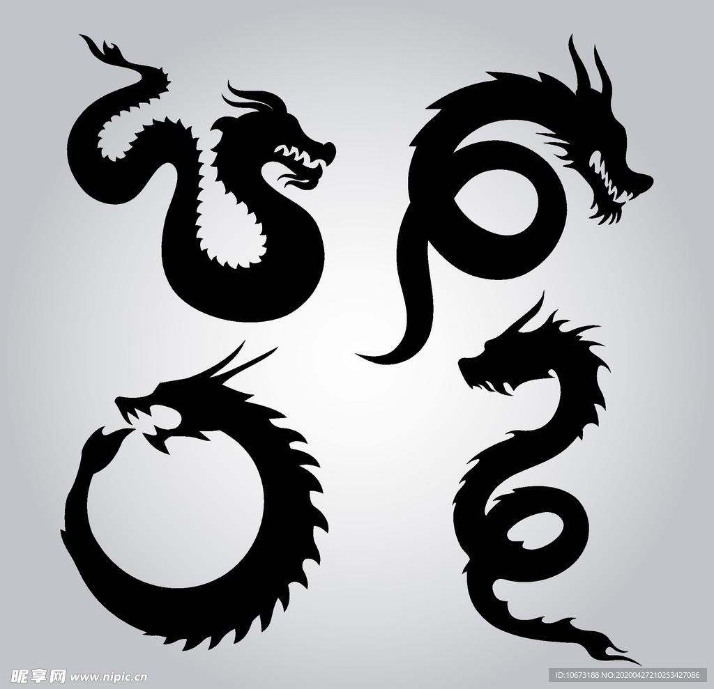 龙