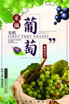 葡萄海报 葡萄采摘海报 采摘园