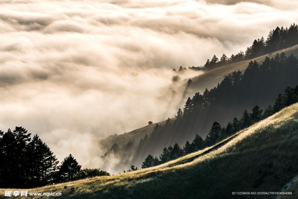 群山森林云雾树木风景
