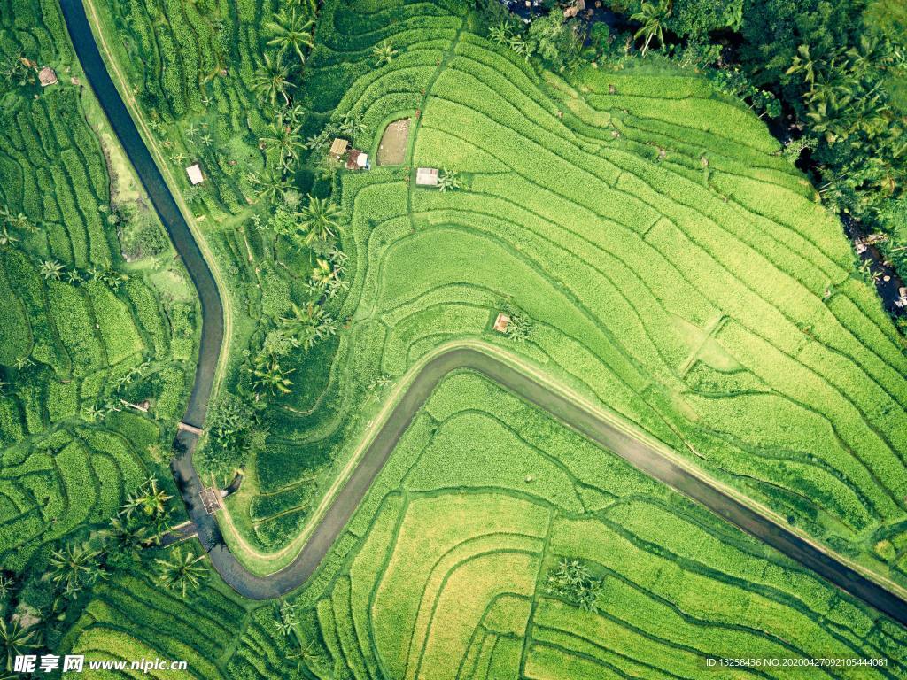 农田水渠田地风景背景