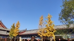 古代建筑屋檐园林风景