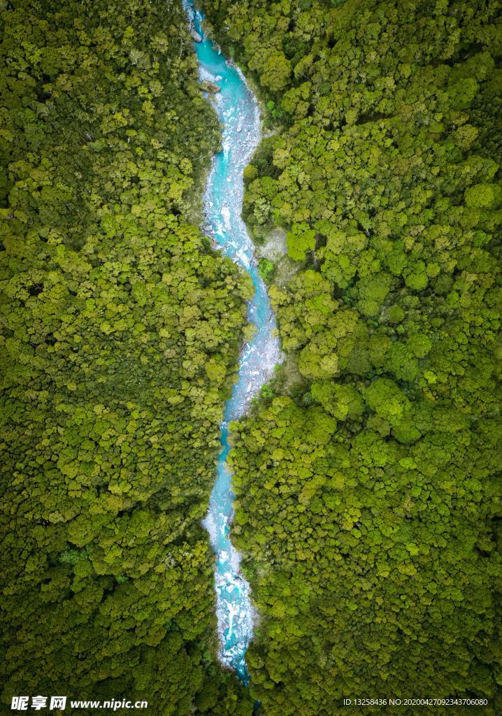 森林河流树木风景背景