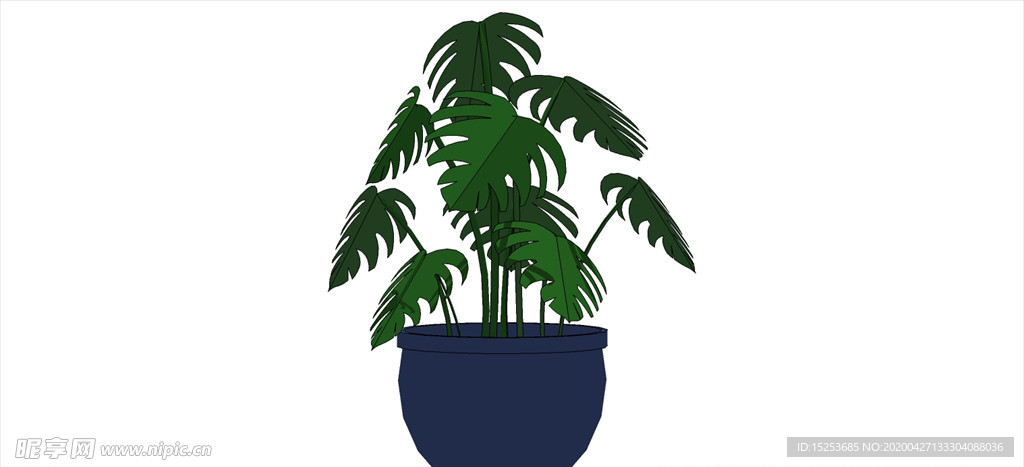 阔叶盆栽