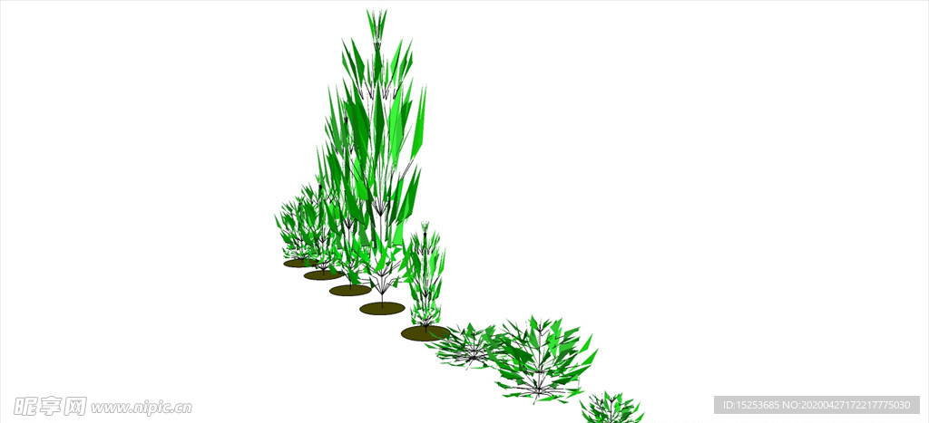 植物