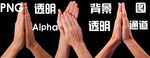 手掌