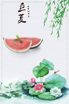 荷花 荷叶