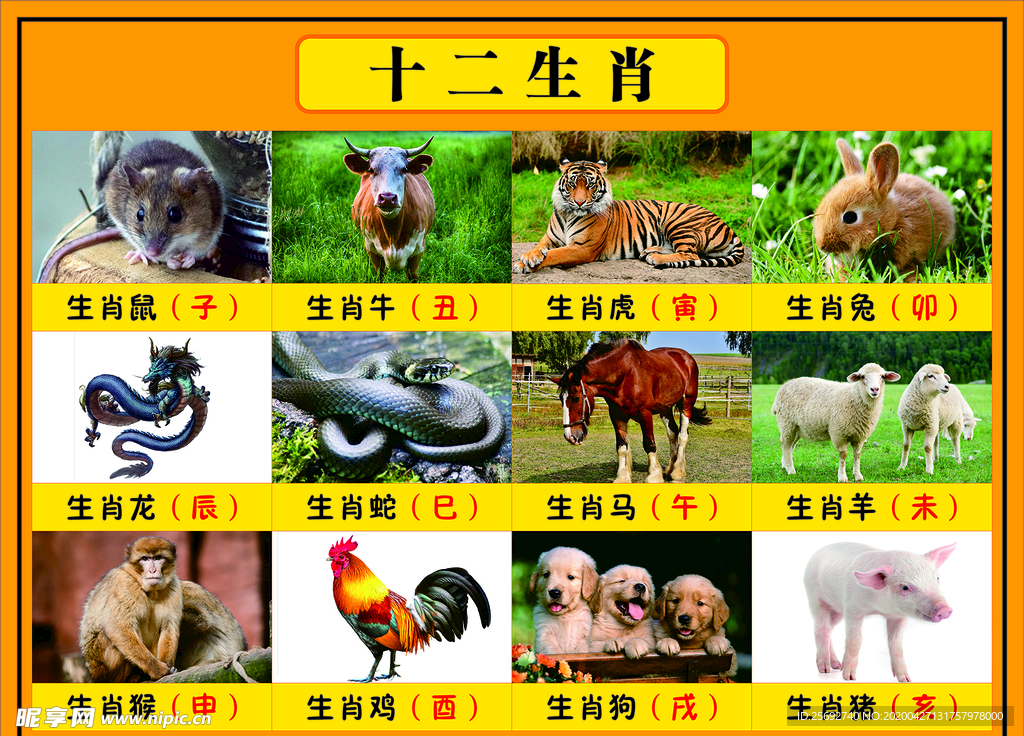 十二生肖