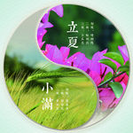 二十四节气灯箱图