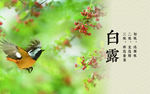 二十四节气灯箱