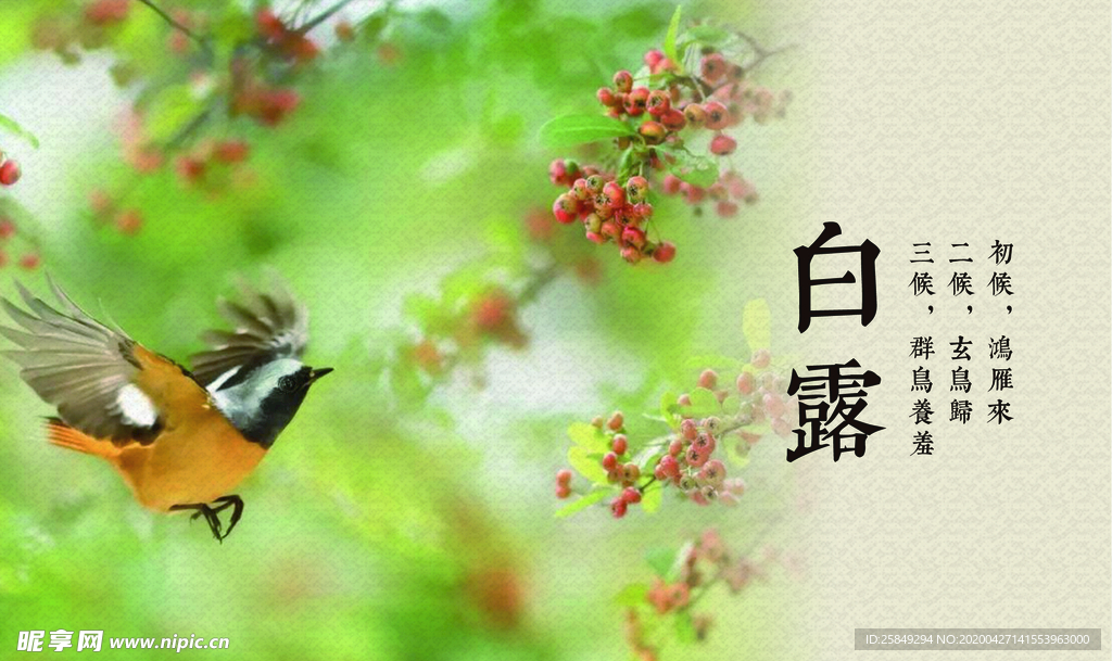 二十四节气灯箱