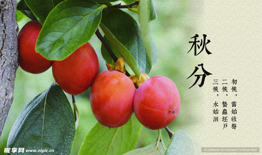 二十四节气灯箱