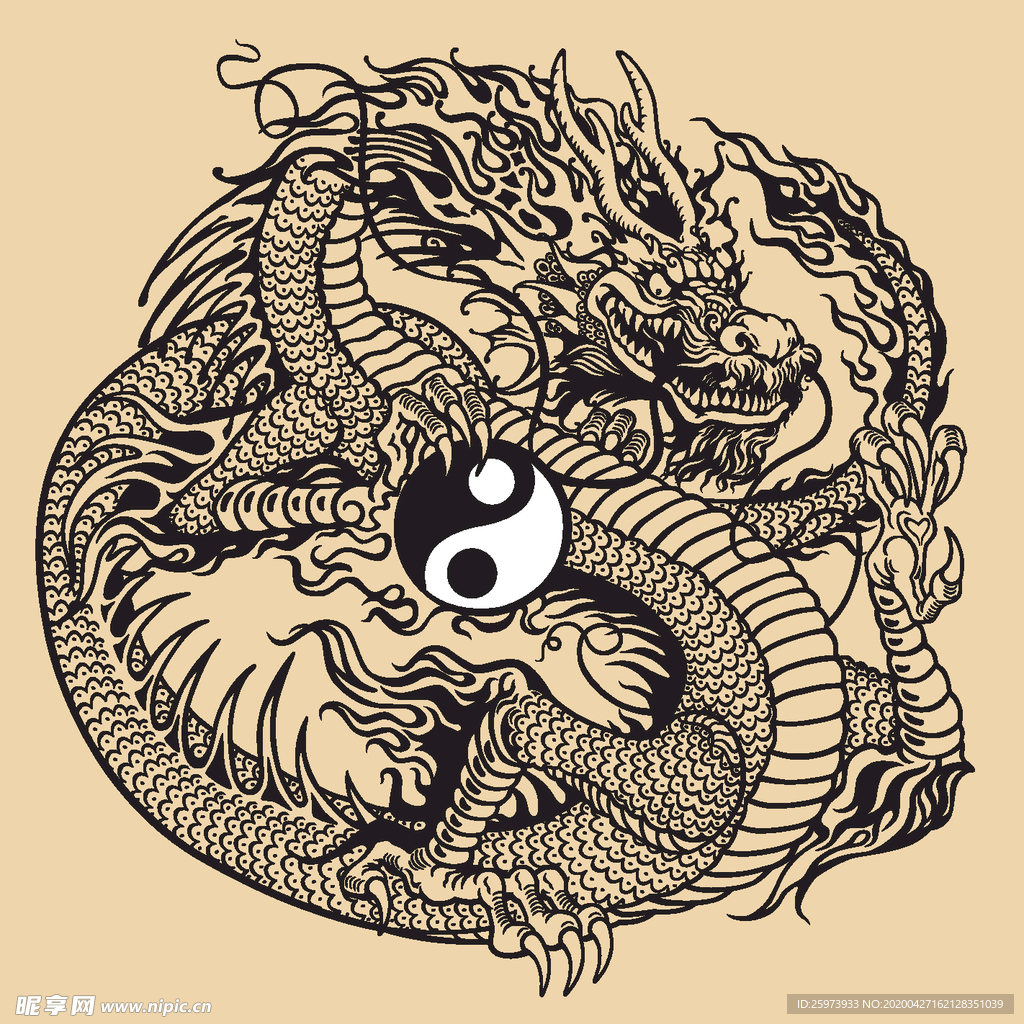 龙