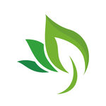 叶子logo图标