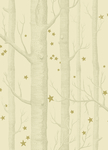 木纹