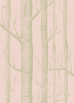 木纹