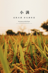 小满
