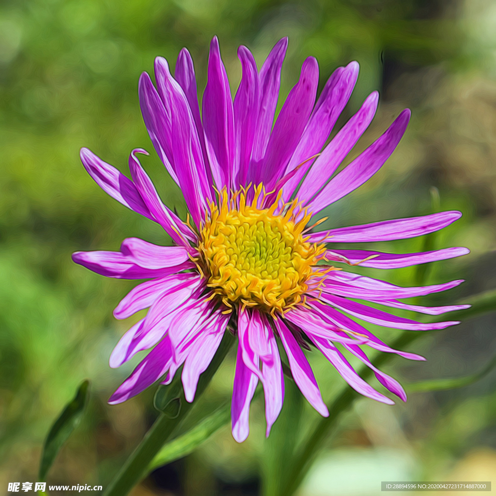 花